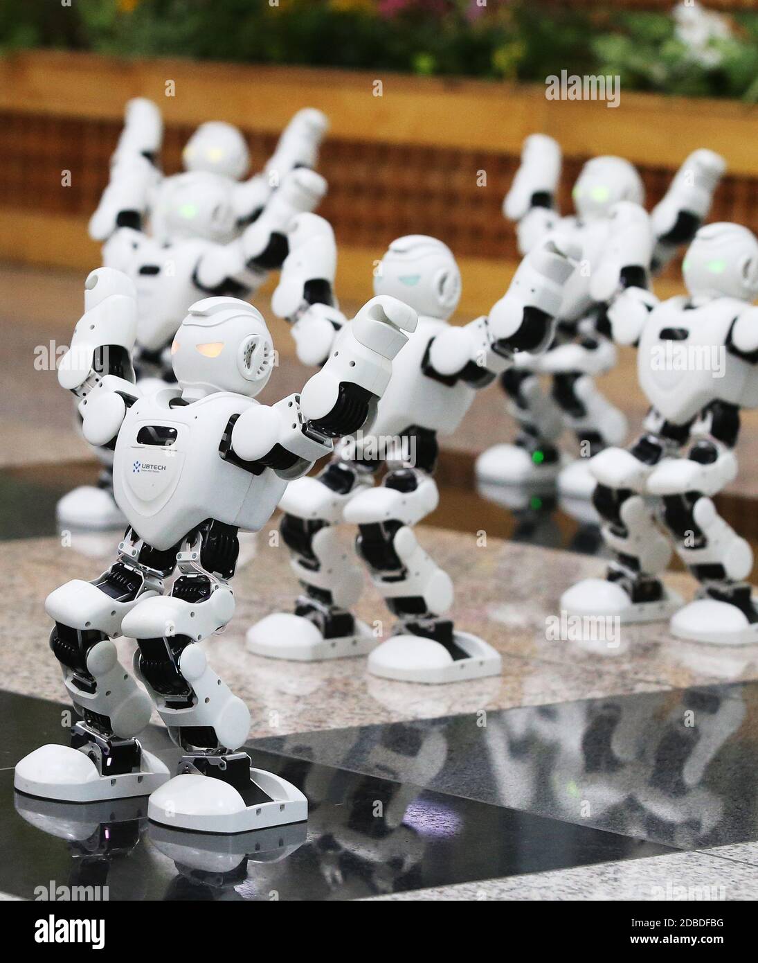 17 de noviembre de 2020. Robot dance Robots baila a la música en una  reunión educativa en Osan, al sur de Seúl, el 17 de noviembre de 2020.  Crédito: Yonhap/Newcom/Alamy Live News