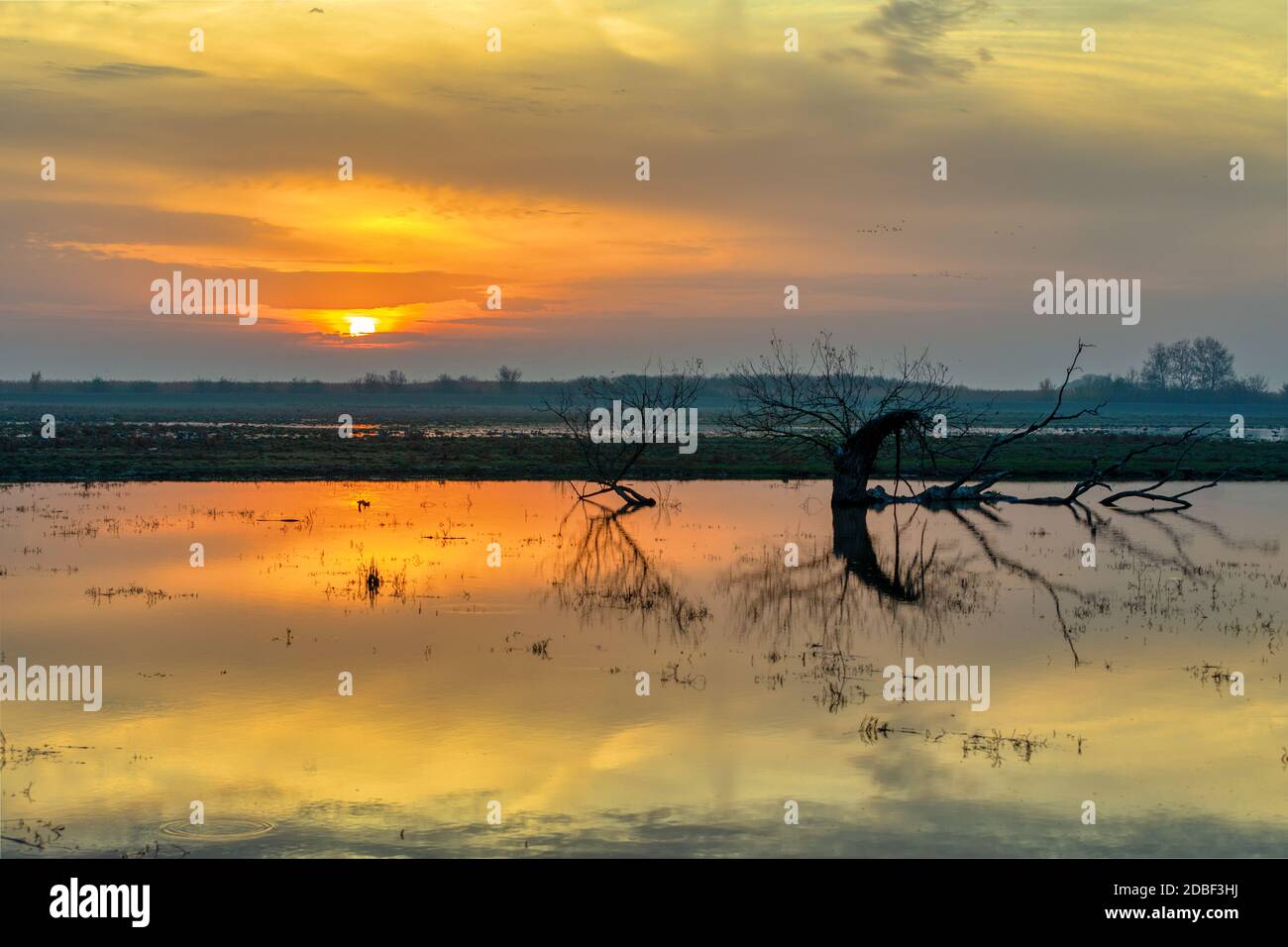 Paisaje de amanecer con una agradable reflexión, paisaje Parque Nacional Hortobagy, Hungría puszta, Europa salvaje, Patrimonio de la Humanidad de la UNESCO Foto de stock