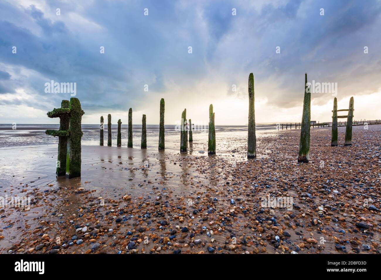 Pudriendo postes verticales de madera de las antiguas defensas del mar en Winchelsea Beach, Winchelsea, East Sussex, Inglaterra, Reino Unido, Europa Foto de stock