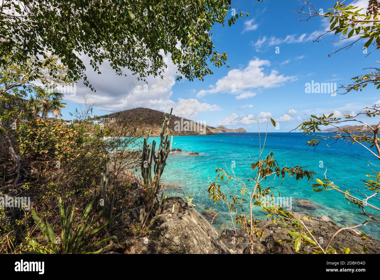 Paisaje marino con una costa rocosa de Coki Point Bech - St Thomas, Islas Vírgenes de los Estados Unidos, Caribe Foto de stock
