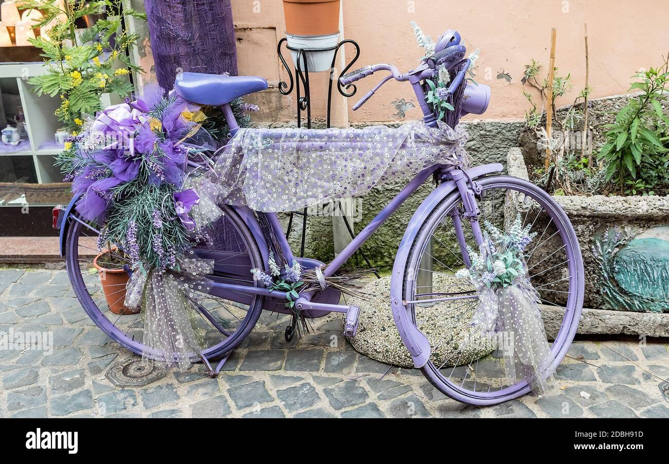 Bicicleta violeta vintage decorada con flores y cordones Fotografía de  stock - Alamy