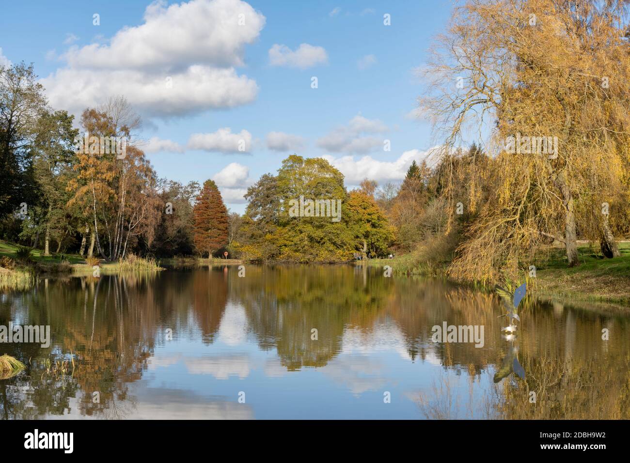 Otoño en el Castillo Howard Arboretum Foto de stock