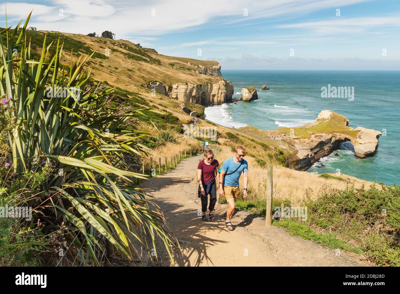 Ruta de senderismo a Tunnel Beach, Dunedin, Otago, South Island, Nueva Zelanda, Pacífico Foto de stock