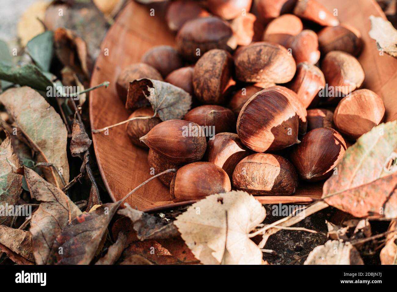 Primer plano de castañas crudas en plato de madera rodeado de hojas secas. Vibraciones de otoño Foto de stock