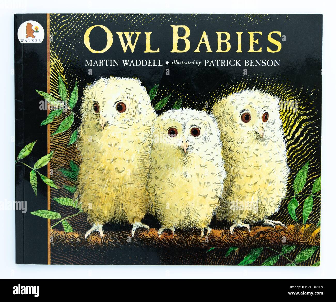 Libro de fotos para niños de Owl Babies de Martin Waddell ilustrado por Patrick Benson Foto de stock