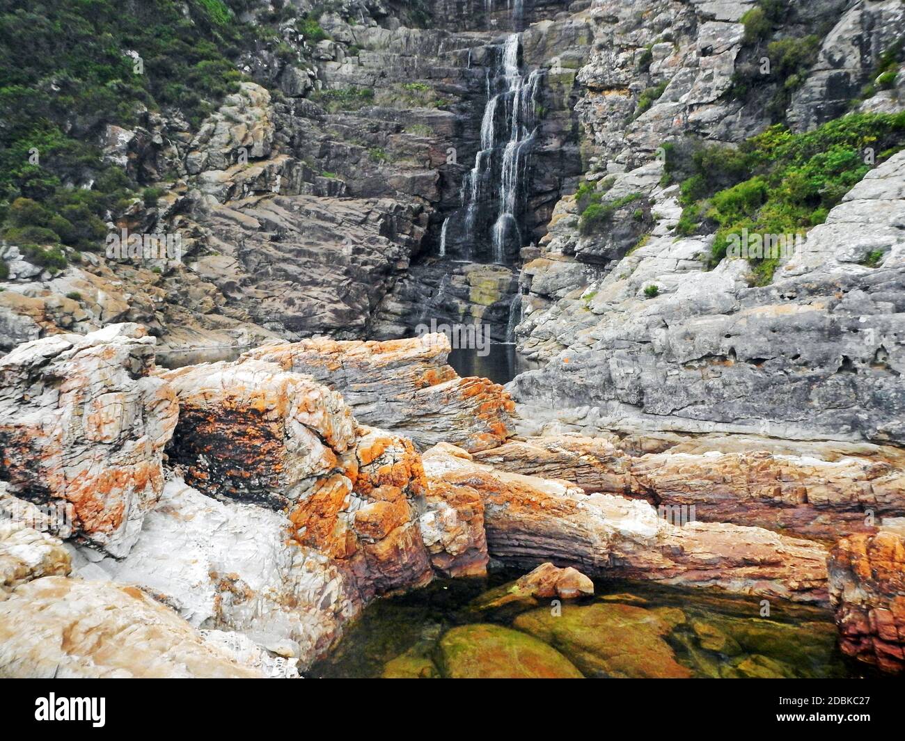 Sendero de la nutria, Cascada, Parque Nacional Tsitsikamma Foto de stock