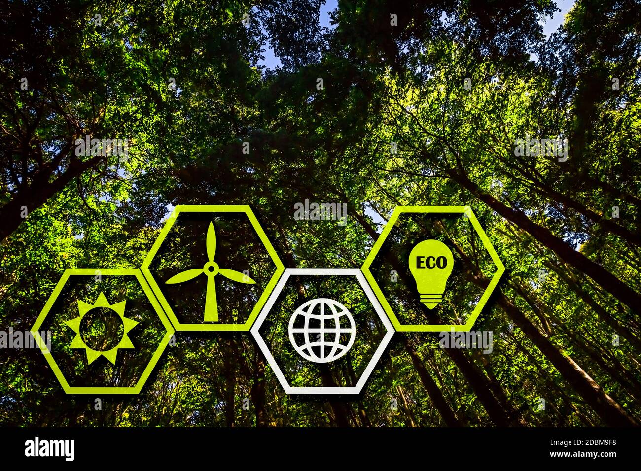 Cuatro iconos de sostenibilidad en forma de hexágono delante de A. Exuberante Bosque Verde Foto de stock