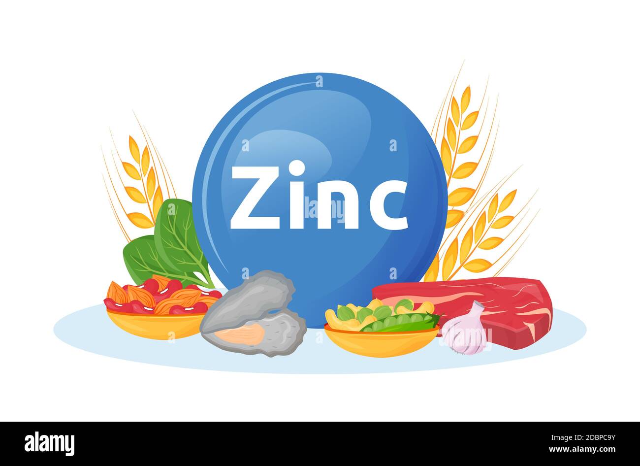 Productos ricos en dibujos animados de zinc vector ilustración. Minerales  en mariscos, carne de res. Ajo y frutos secos alimentos sanos objeto de  color plano. La dieta para la salud es Fotografía