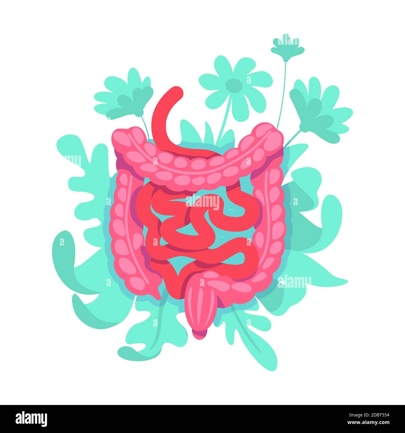 Ilustración vectorial del concepto plano del intestino grueso. Sistema  gastrointestinal. Tracto de digestión con intestino. Fisiología objeto de  dibujos animados 2D para diseño web. Él Fotografía de stock - Alamy