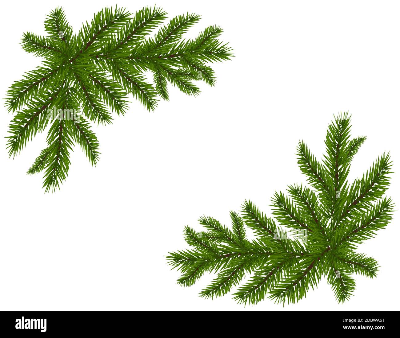 Dos ramas de abeto verde realista. Colocado en las esquinas. Ramas de abeto. Aislado sobre fondo blanco. Ilustración del vector de Navidad Foto de stock