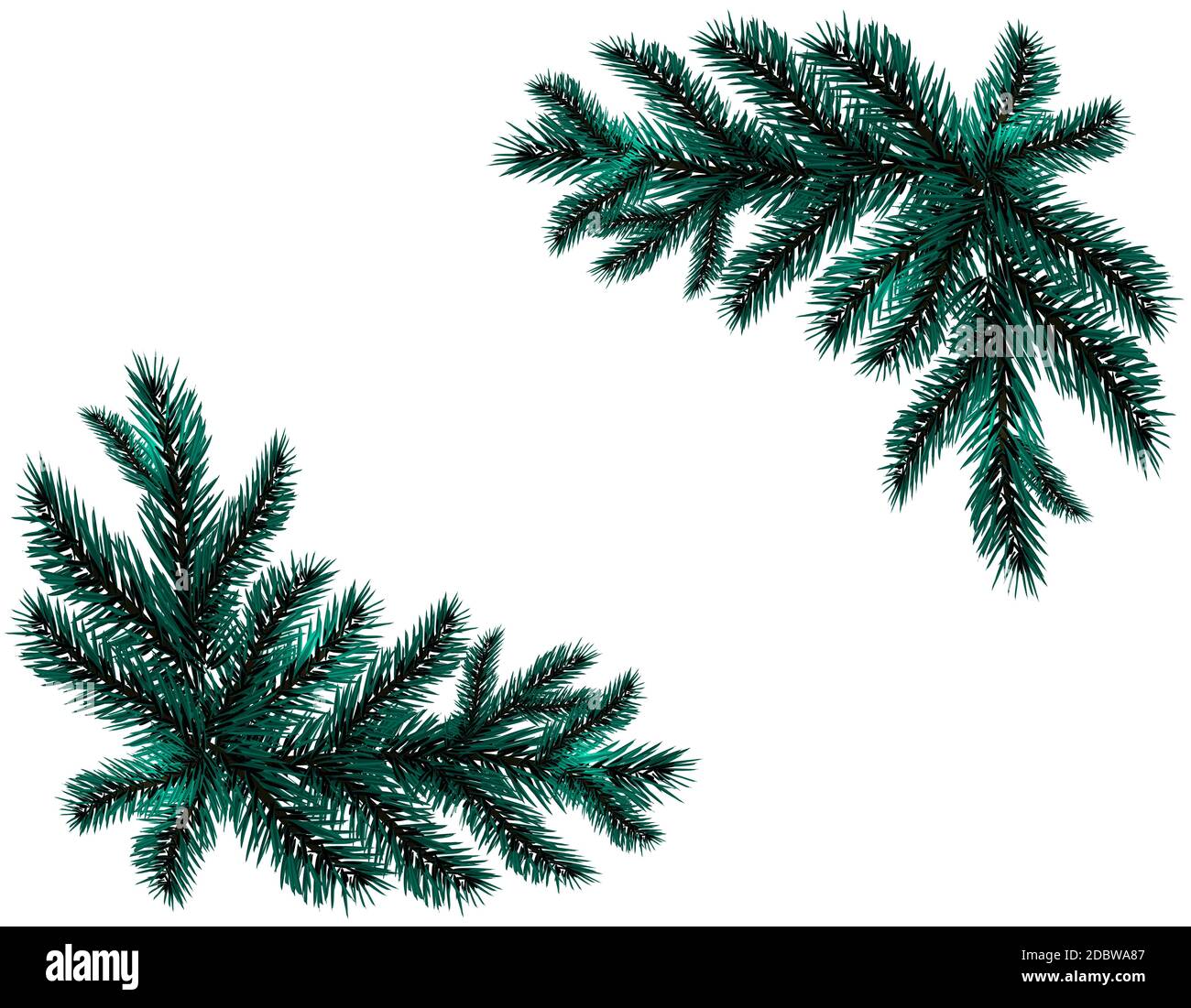 Dos ramas realistas azul picea. Colocado en las esquinas. Ramas de abeto. Aislado sobre fondo blanco. Ilustración del vector de Navidad Foto de stock