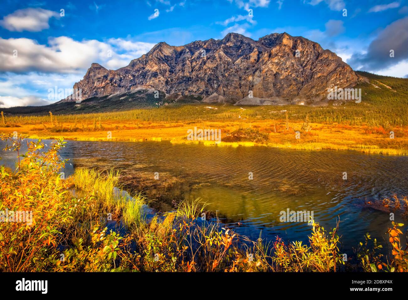 La montaña de Sukakpak se refleja en un lago, rodeado de foliajes otoñal, Brooks Range, Gates of the Arctic National Park and Preserve, Arctic Alaska in au Foto de stock