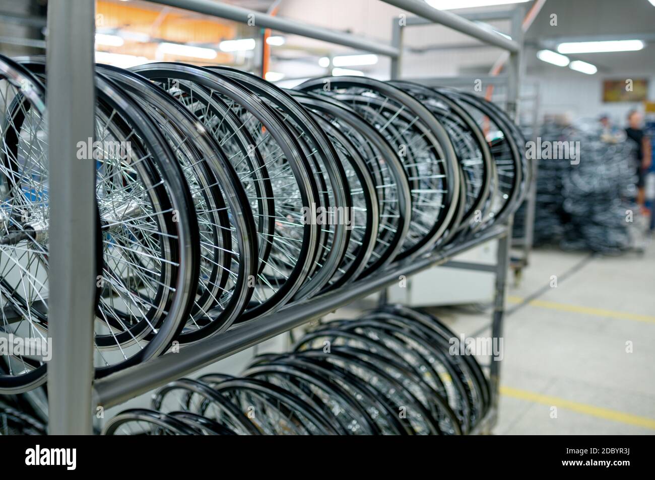 Fila de nuevas ruedas de aluminio para bicicletas en la estantería, nadie.  Tienda de piezas de bicicleta en fábrica, neumáticos en hangar, línea de  montaje, llantas de ciclo con cubos y radios