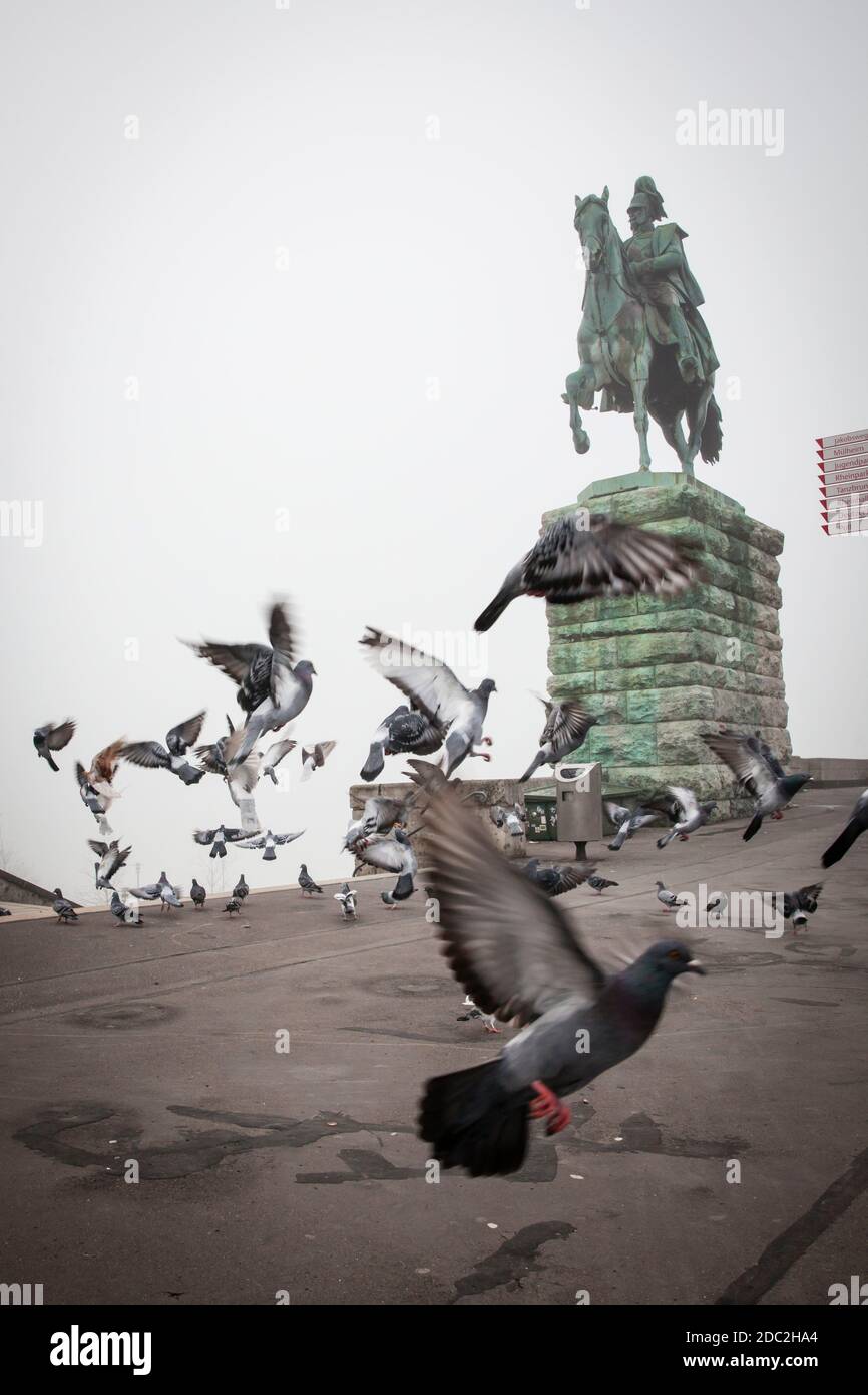 Estatua ecuestre en el puente Hohenzollern en el distrito de la ciudad Deutz, palomas, niebla, Colonia, Alemania. Reiterstatue an der Hohenzollernbruecke im S Foto de stock