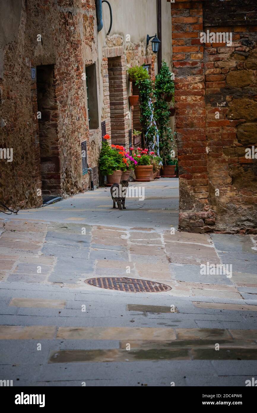 Montefollonico, pequeño pueblo antiguo en Toscana, Italia Foto de stock