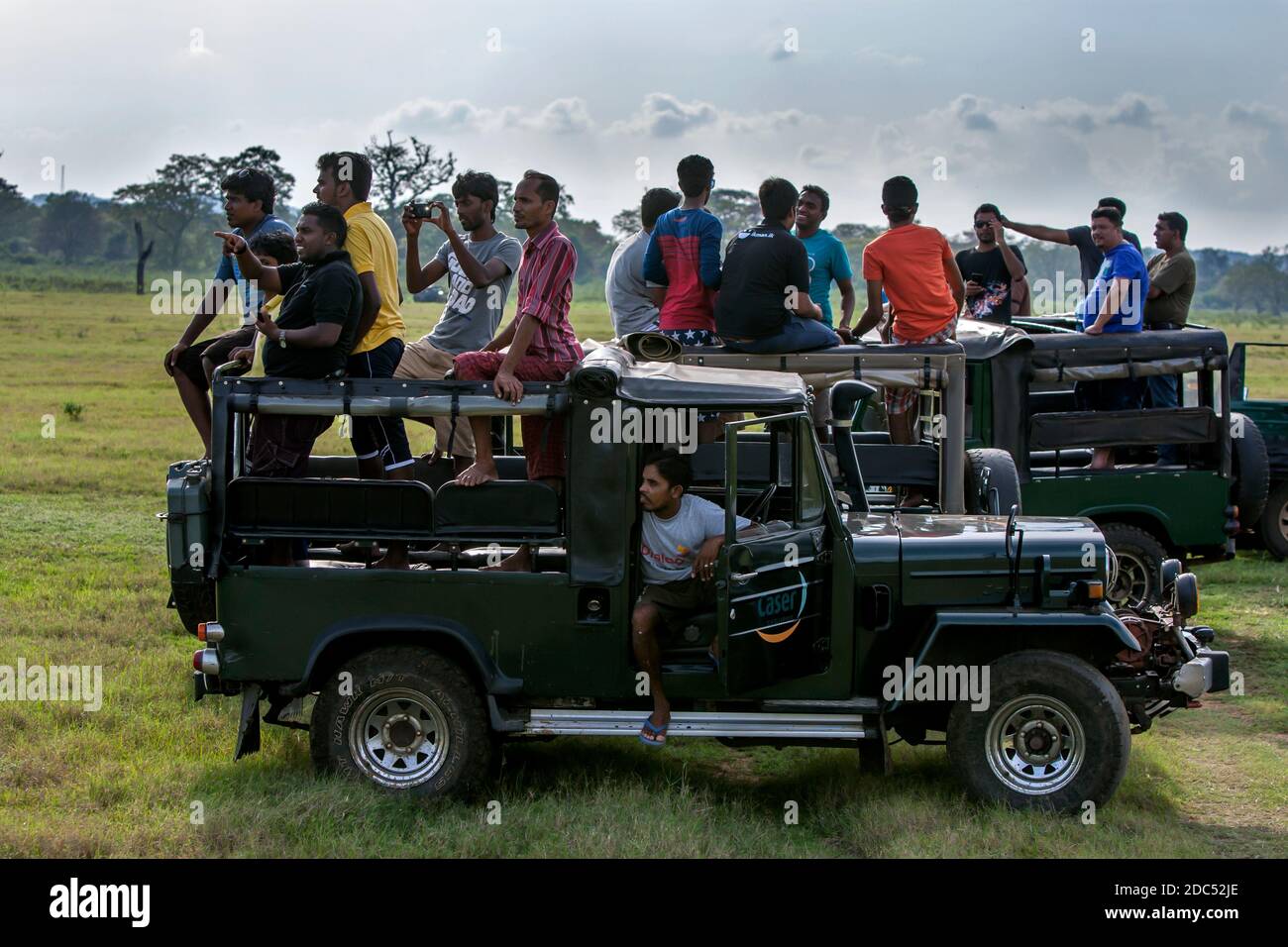 Turistas a bordo de jeeps safari en el Parque Nacional Kaudulla en Gal Oya Junction en el centro de Sri Lanka. Foto de stock