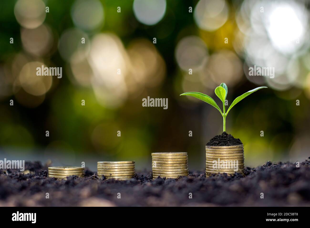 El crecimiento de plantas en monedas apiladas y suelo fértil, el concepto de inversión para la agricultura y el cultivo. Foto de stock