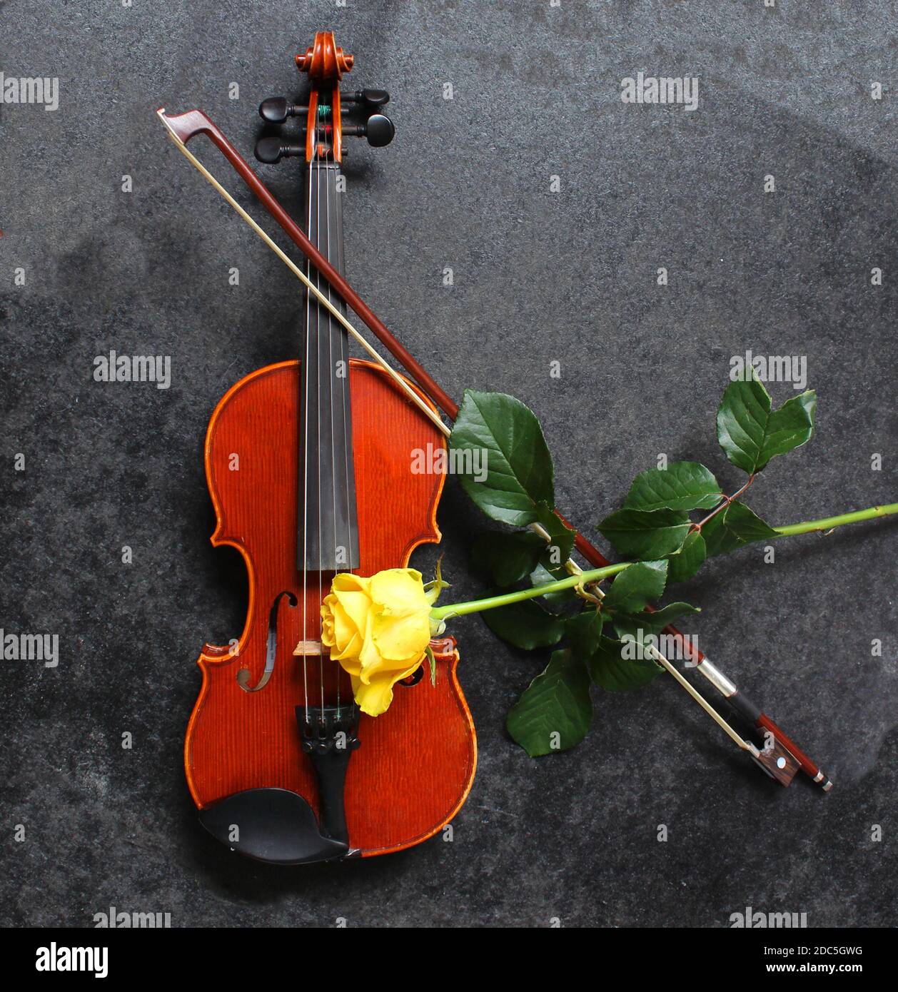 Violín y rosa amarilla sobre fondo negro Foto de stock