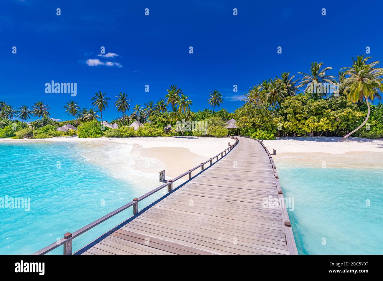 Maldivas complejo turístico de playa paisaje panorámico. Playa tropical de vacaciones. Largo muelle de madera, embarcadero en la isla paradisíaca, palmeras, arena blanca, cielo azul Foto de stock