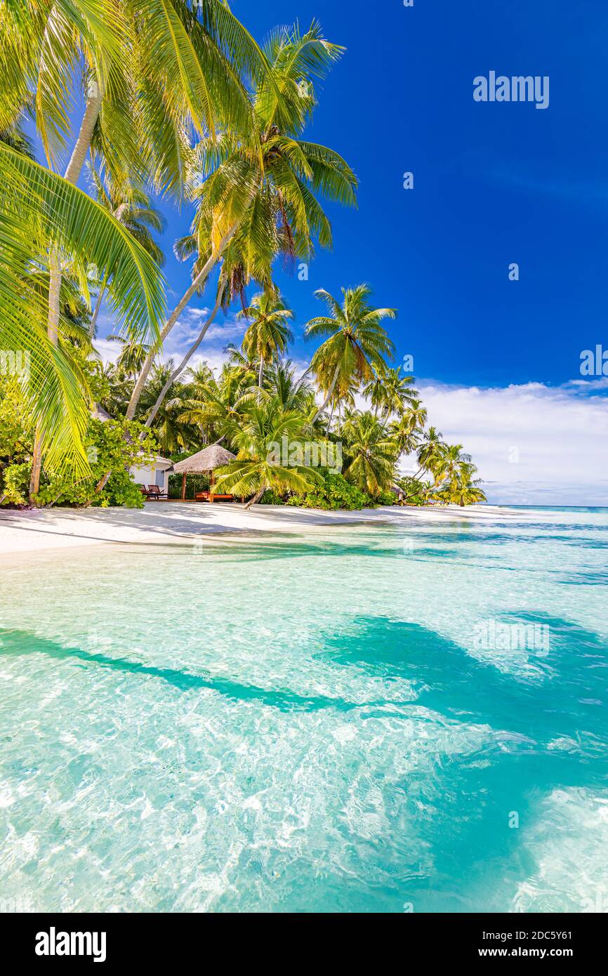 Tranquila escena de playa. Soleado paisaje exótico de playa tropical. Concepto de vacaciones de verano. Destino turístico de lujo, naturaleza idílica, palmeras, mar Foto de stock