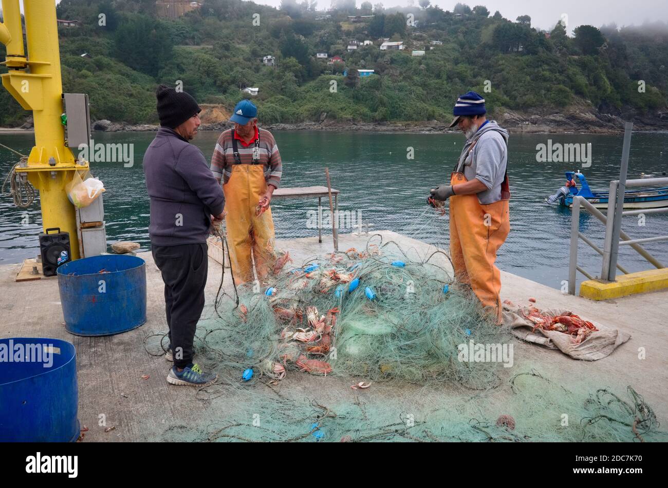 Bahia Mansa, provincia de Osorno, Chile - Febrero, 2020: Tres pescadores sacan cangrejos de la red de pesca en el muelle de pescadores en el pequeño pueblo pesquero Foto de stock