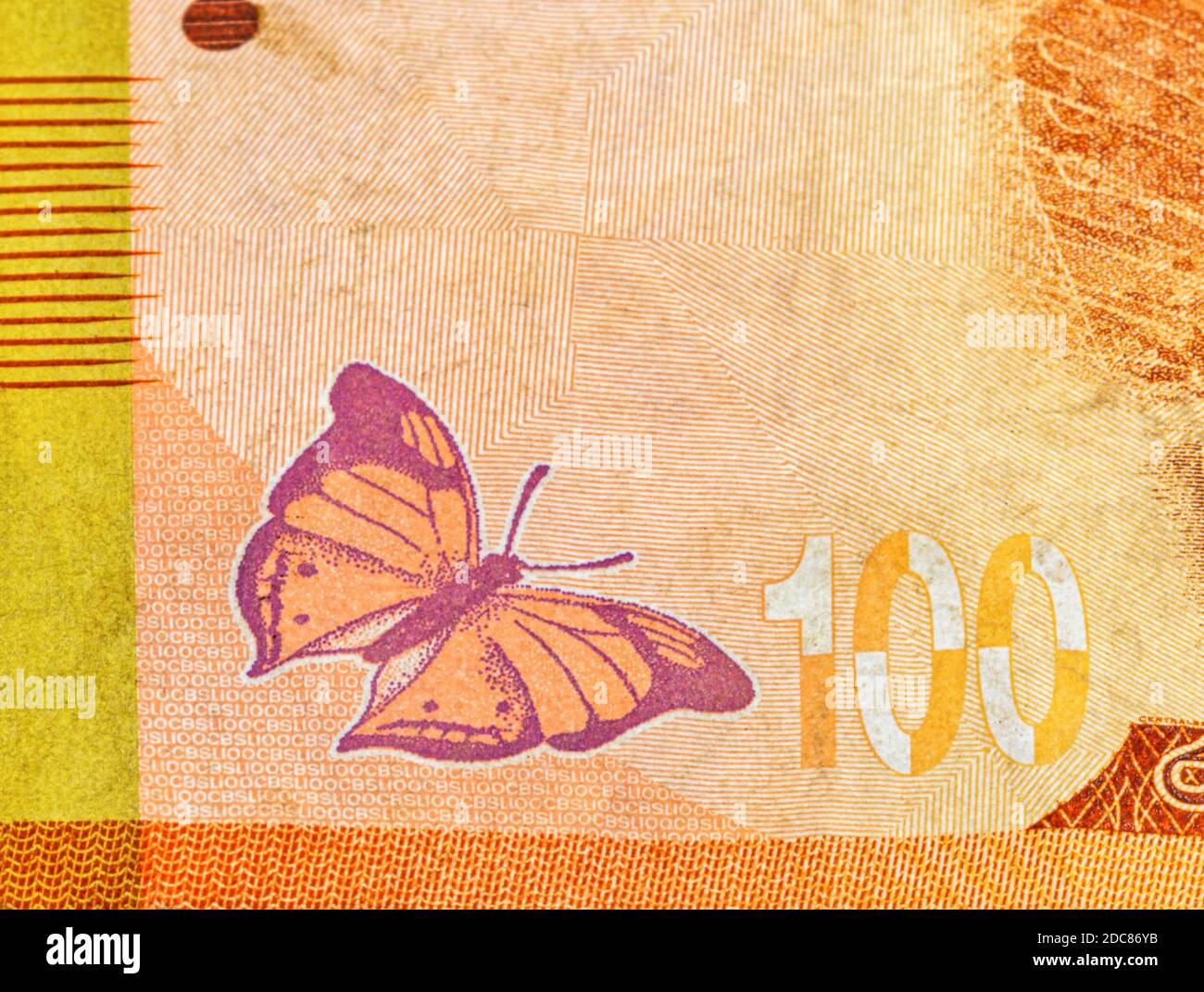 Fragmento de 100 rupias de Sri Lanka revierten billetes usados cierre con espacio de copia. Mariposa de hojas de otoño en la cuenta. Foto de stock