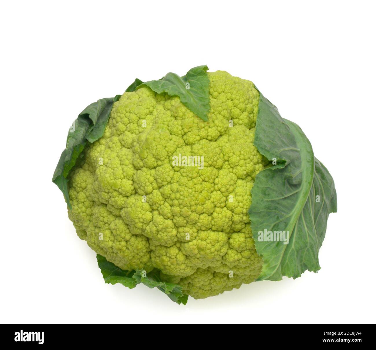 Ruta coliflor color aislado en blanco vista superior Foto de stock