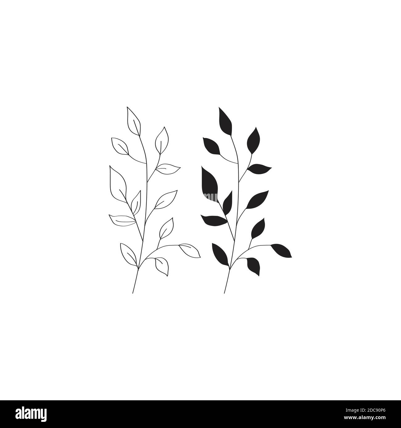 Ilustraciones vectoriales dibujadas a mano. Ramas botánicas de eucalipto y  helecho. Elementos de diseño floral. Bocetos de tatuaje Imagen Vector de  stock - Alamy