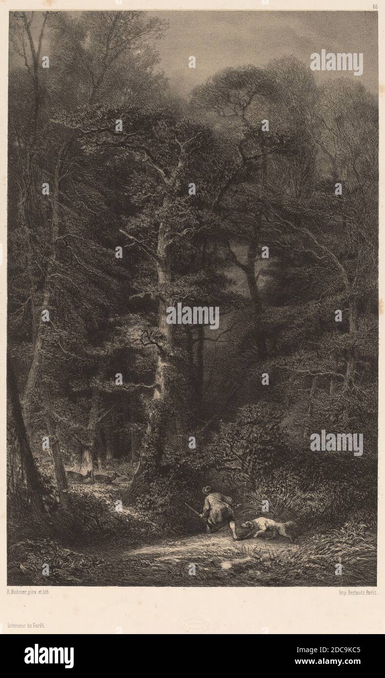 Karl Bodmer, (artista), Suiza, 1809 - 1893, intérieur de Forêt, litografía Foto de stock