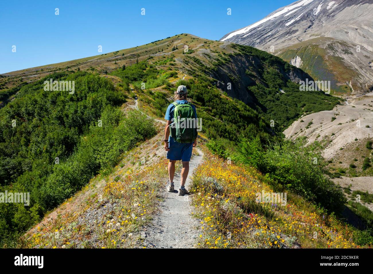 WA18298-00...WASHINGTON - Hiker explorando el Monumento volcánico Nacional del Monte St Helens 40 años después de la erupción. Foto de stock