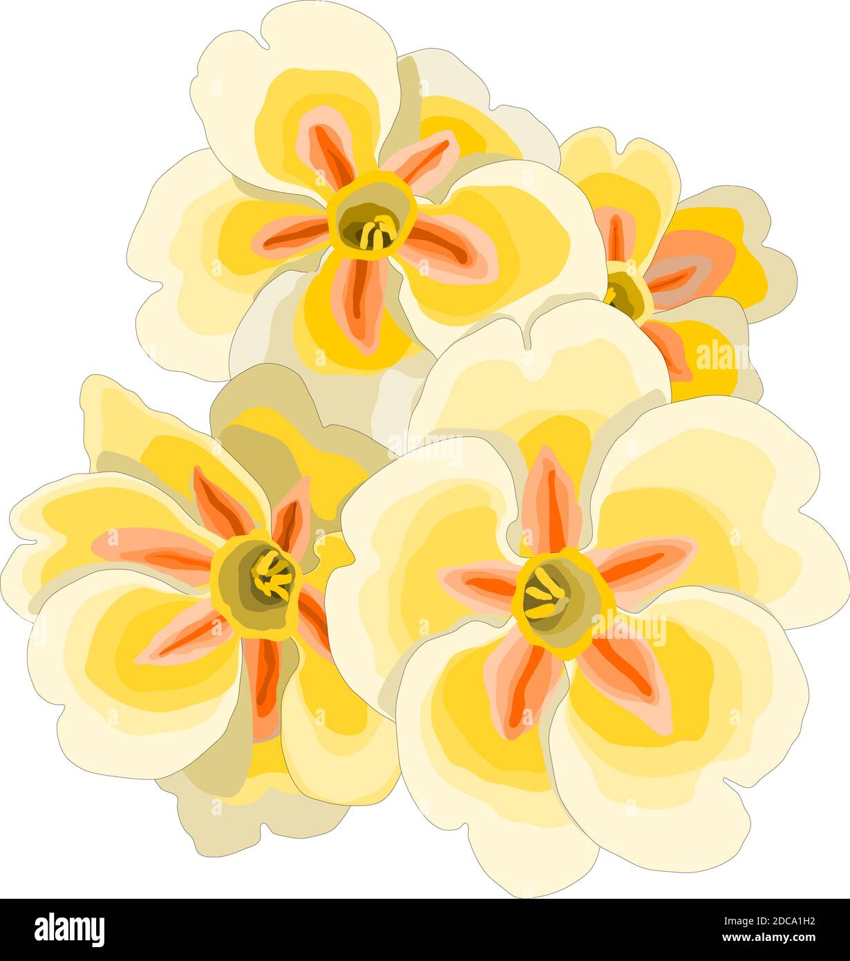 Vector de flor de geranio amarillo Imagen Vector de stock - Alamy