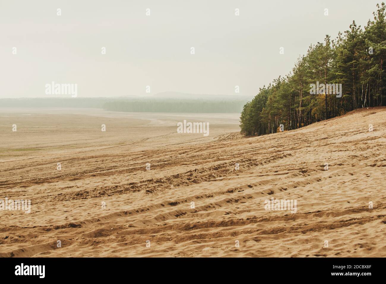 Desierto de Bledow (pustynia bledowska) El mayor desierto de arena de