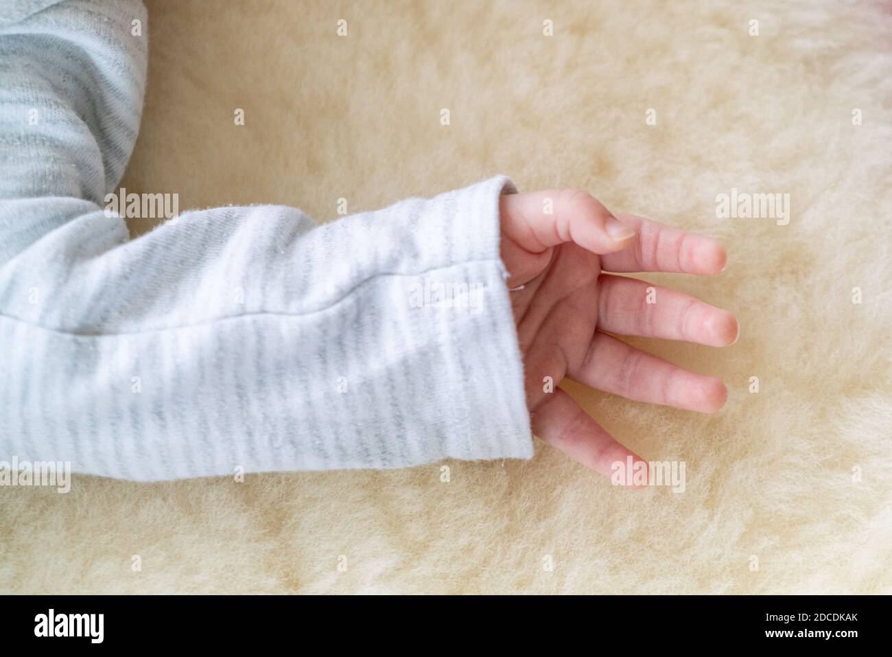 pequeña, linda mano de una pequeña niña o niño recién nacido caucásico que lleva una camisa blanca sobre un suave y acogedor fondo de piel de cordero Foto de stock
