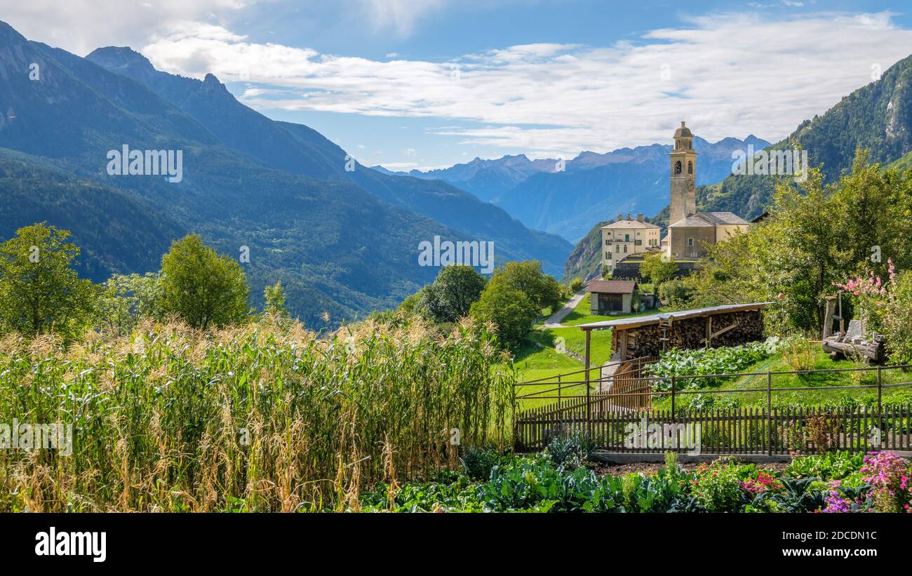 Finales de verano, principios de otoño en Soglio, un pueblo en el distrito de Maloja en el cantón suizo de Graubünden cerca de la frontera italiana Foto de stock