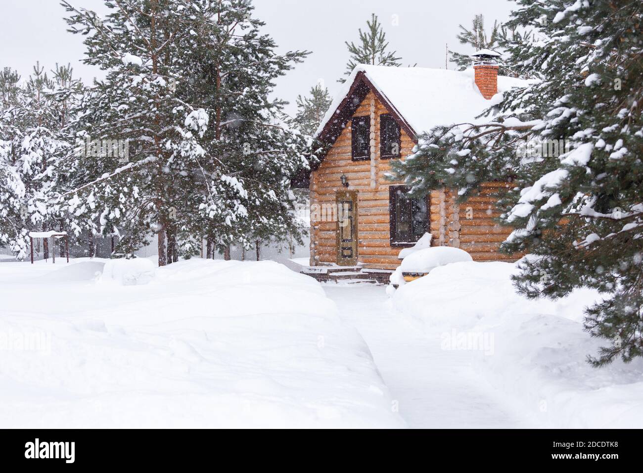 Casa rústica de madera, pinos cubiertos de nieve, grandes nevadas, nevadas. Paisaje rural hermoso de invierno. Escena no urbana. Año Nuevo, Navidad. Espacio de copia Foto de stock