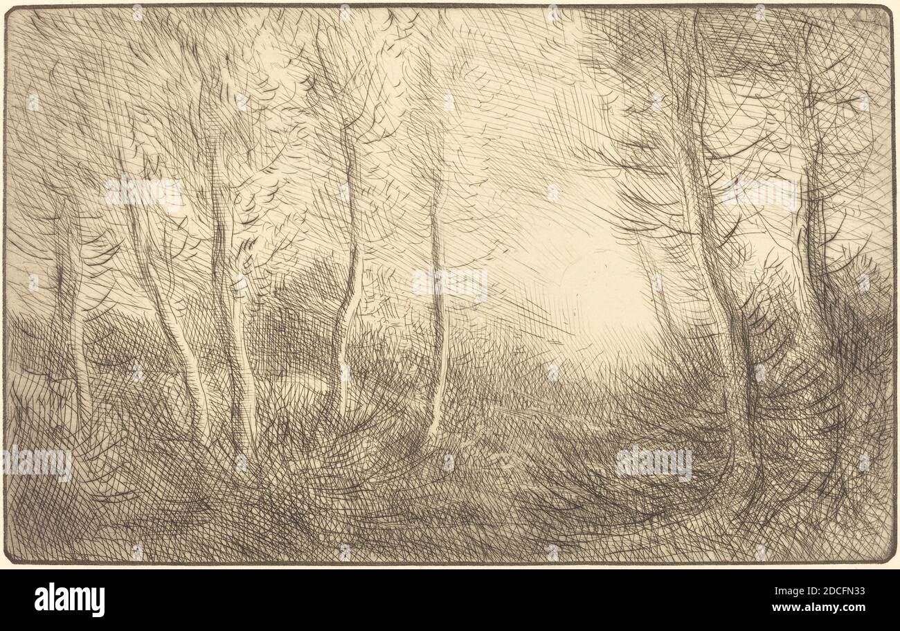 Alphonse Legros, (artista), francés, 1837 - 1911, Amanecer, Bosque de Clamard (palanca del soleil, bois de Clamard), punto seco y grabado Foto de stock