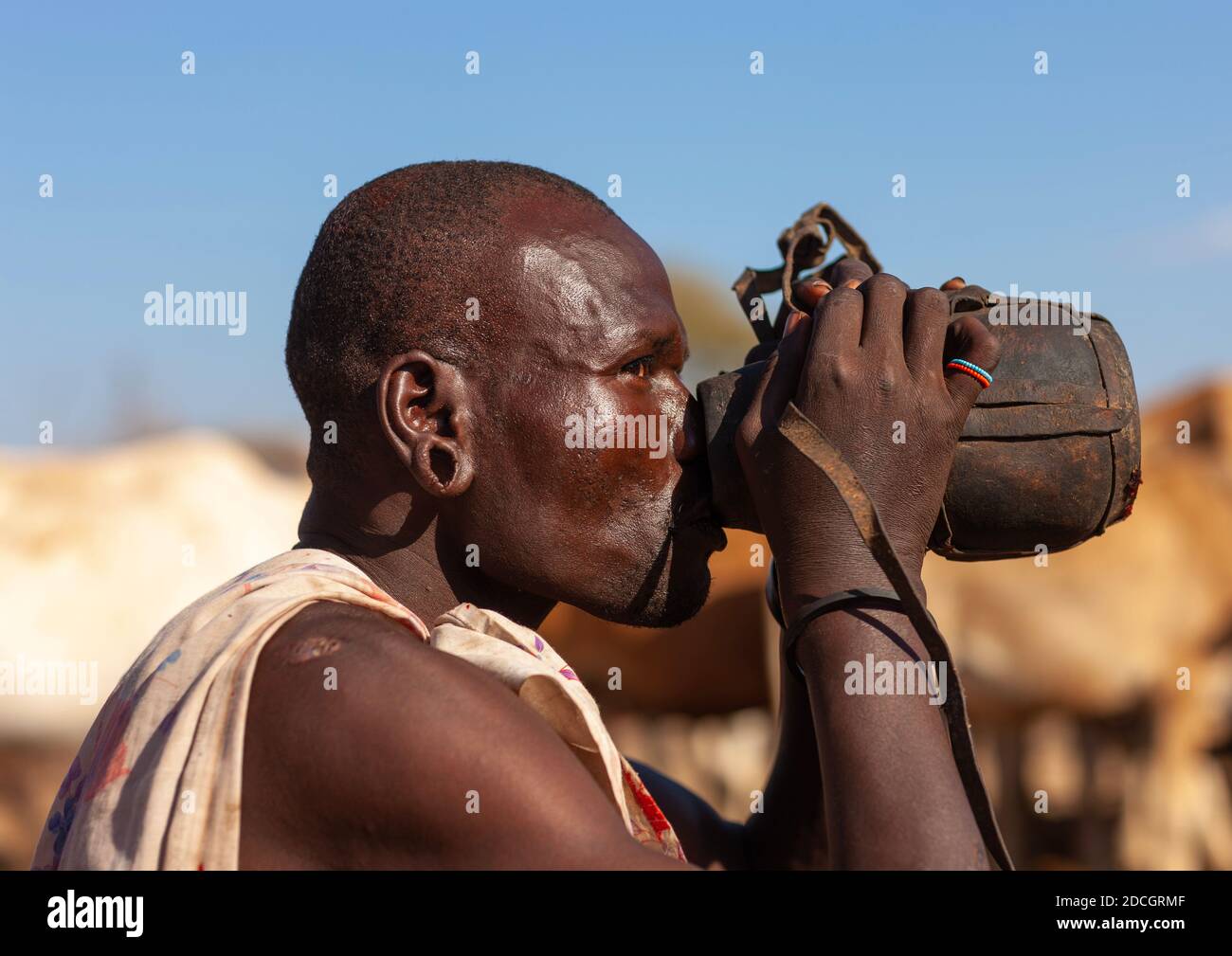 Samburu tribu hombre bebiendo sangre de vaca, Condado de Samburu, Maralal, Kenia Foto de stock