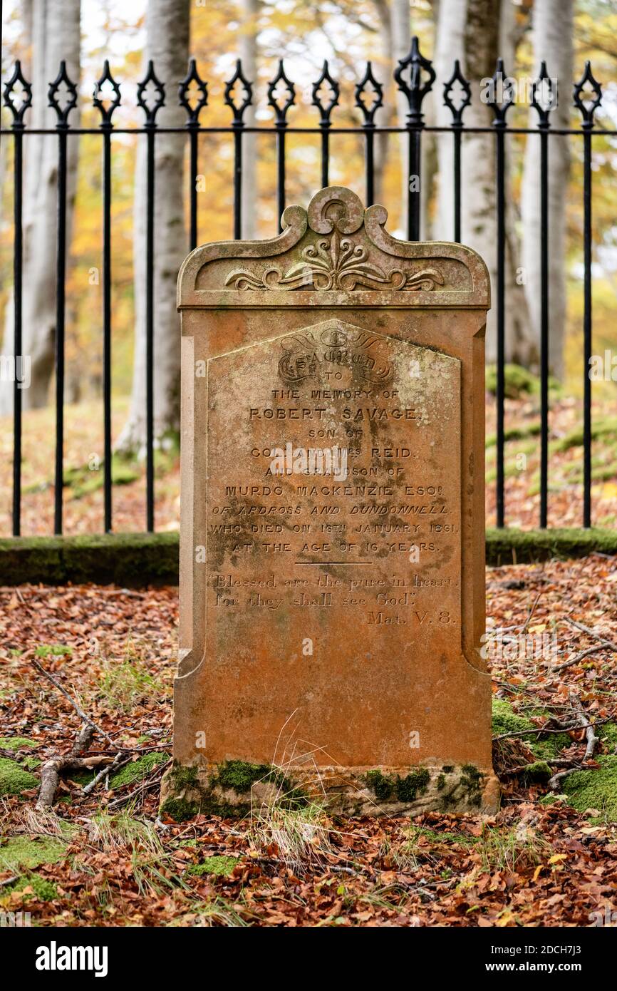 Imagen de un cementerio privado en el bosque de hayas, cerca de Dundonnell en Wester Ross, Escocia. Foto de stock