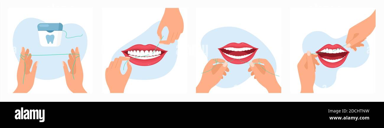 Ilustración vectorial del uso de la rutina dental con hilo dental.  Instrucciones sobre cómo utilizar el hilo dental paso a paso, dibujos  animados de estilo plano Imagen Vector de stock - Alamy
