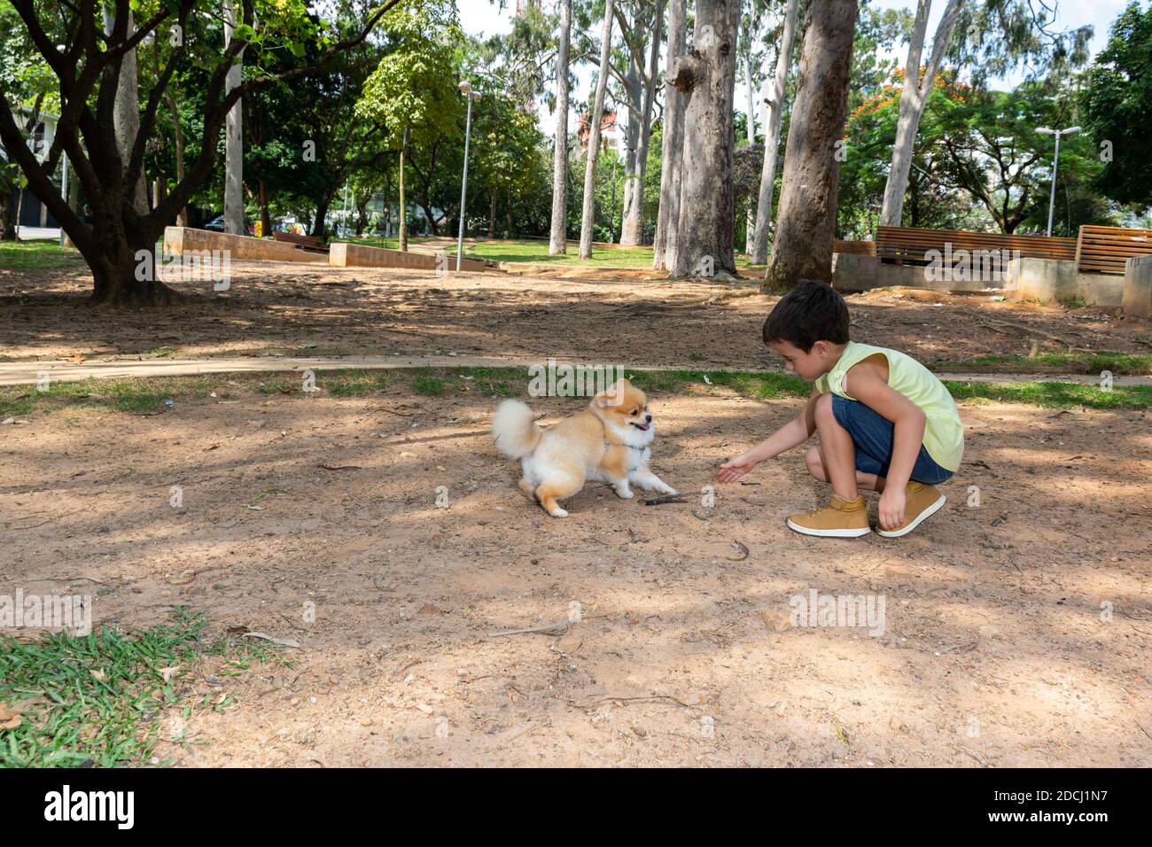 Niño de 6 años en una tarde en la plaza Honório Sabino jugando en bicicleta, con perros y comiendo palomitas. Foto de stock