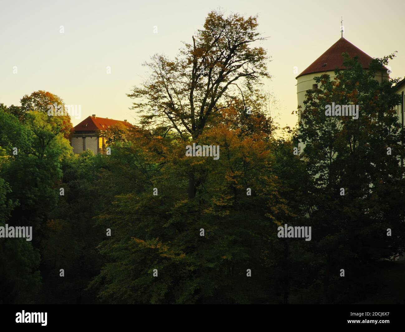 Torres medievales sobre los árboles en Praga en el otoño. Foso de ciervos. Foto de stock
