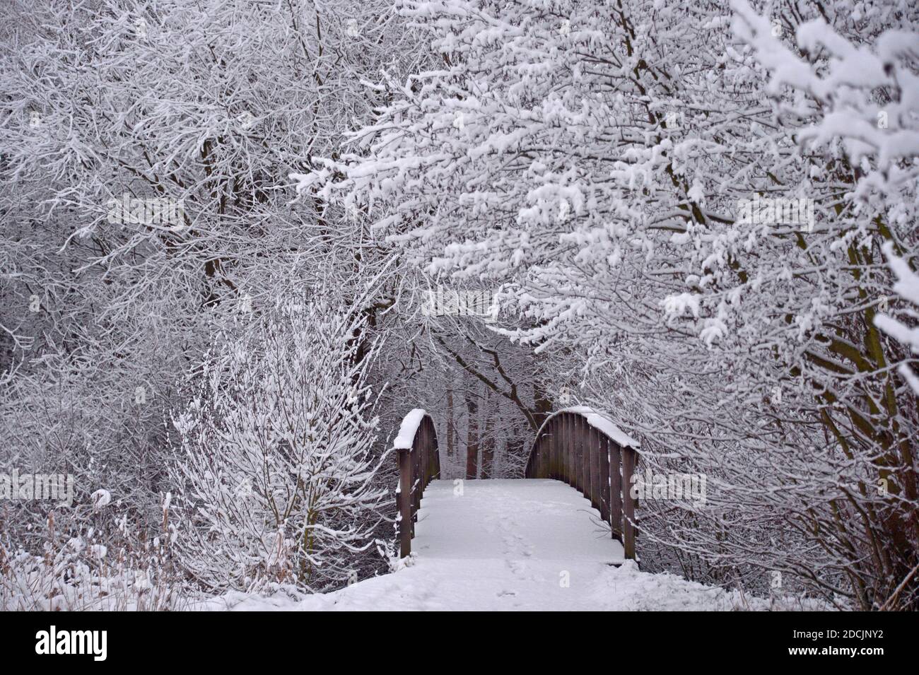 Lachtebrücke an der Mündung in die Aller, Januar de invierno, Celle Foto de stock