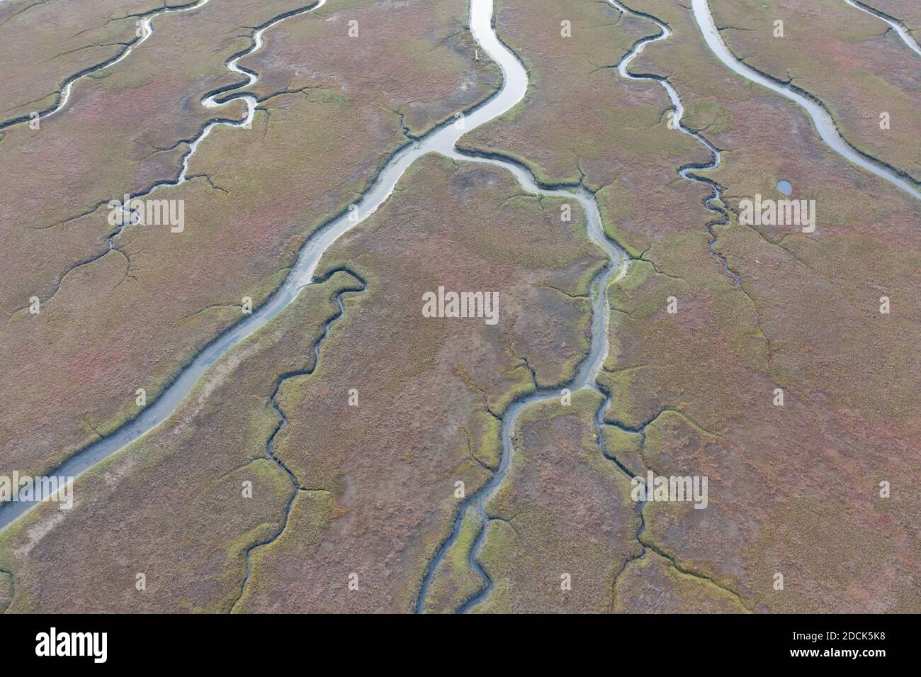 Los canales estrechos serpentean a través de un hermoso estuario en