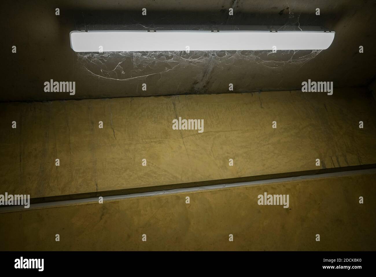 Telarañas bajo una luz de fluo en una salida de emergencia concreta. Foto de stock