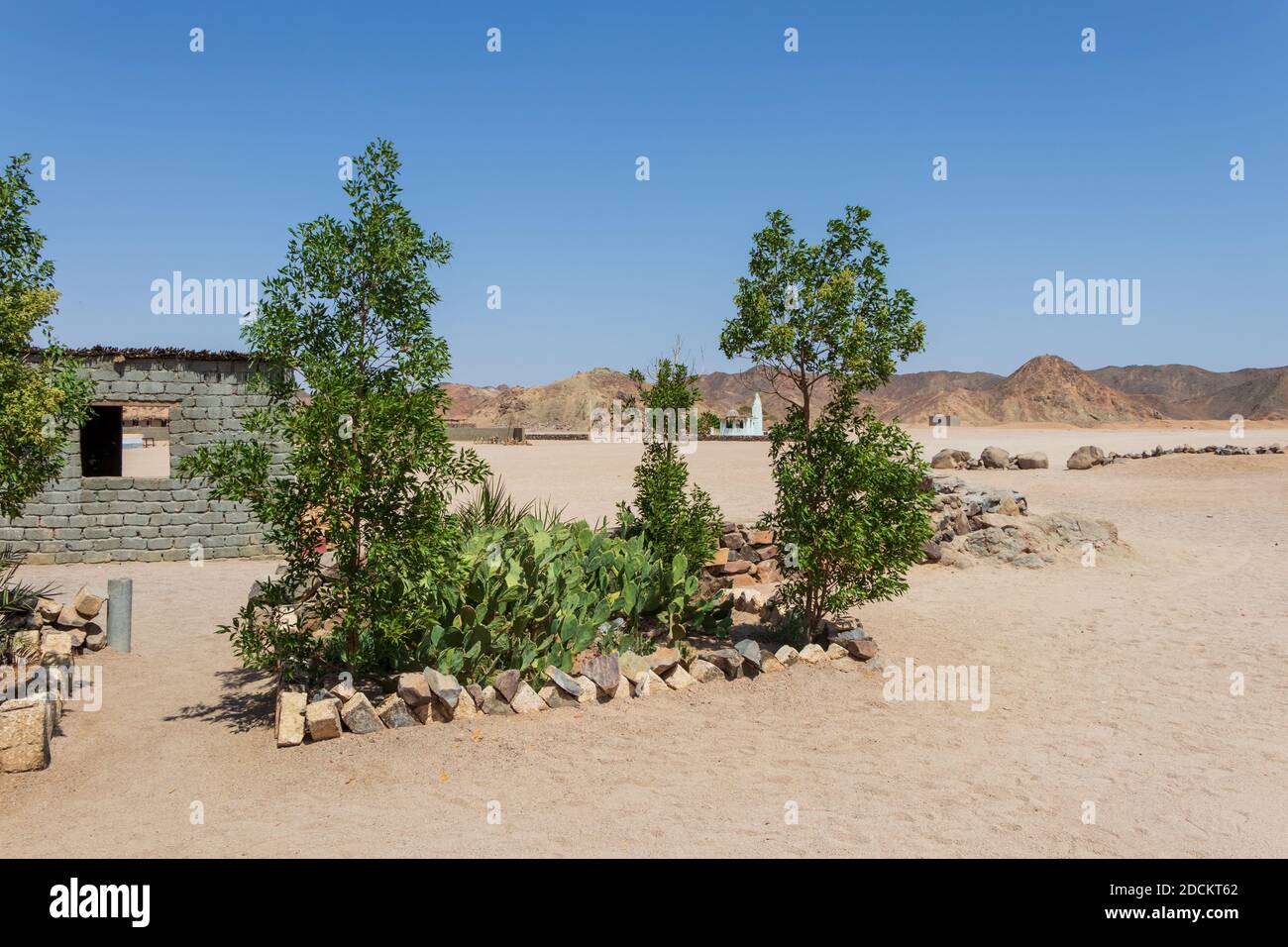 Un Pequeno Jardin Desertico Con Cactus En Egipto Fotografia De Stock Alamy