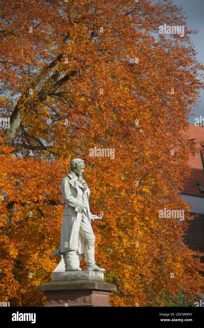 Albrecht-Thaer-Denkmal mit Buche im Herbst, Celle Foto de stock
