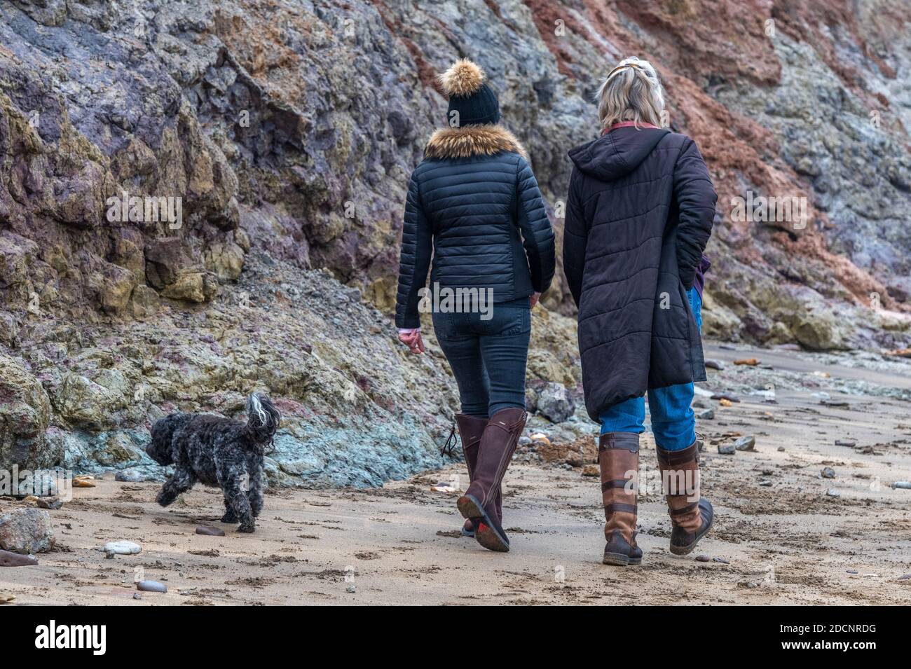 dos damas o mujeres caminando juntos un perro caminando y hablando en la playa. Foto de stock