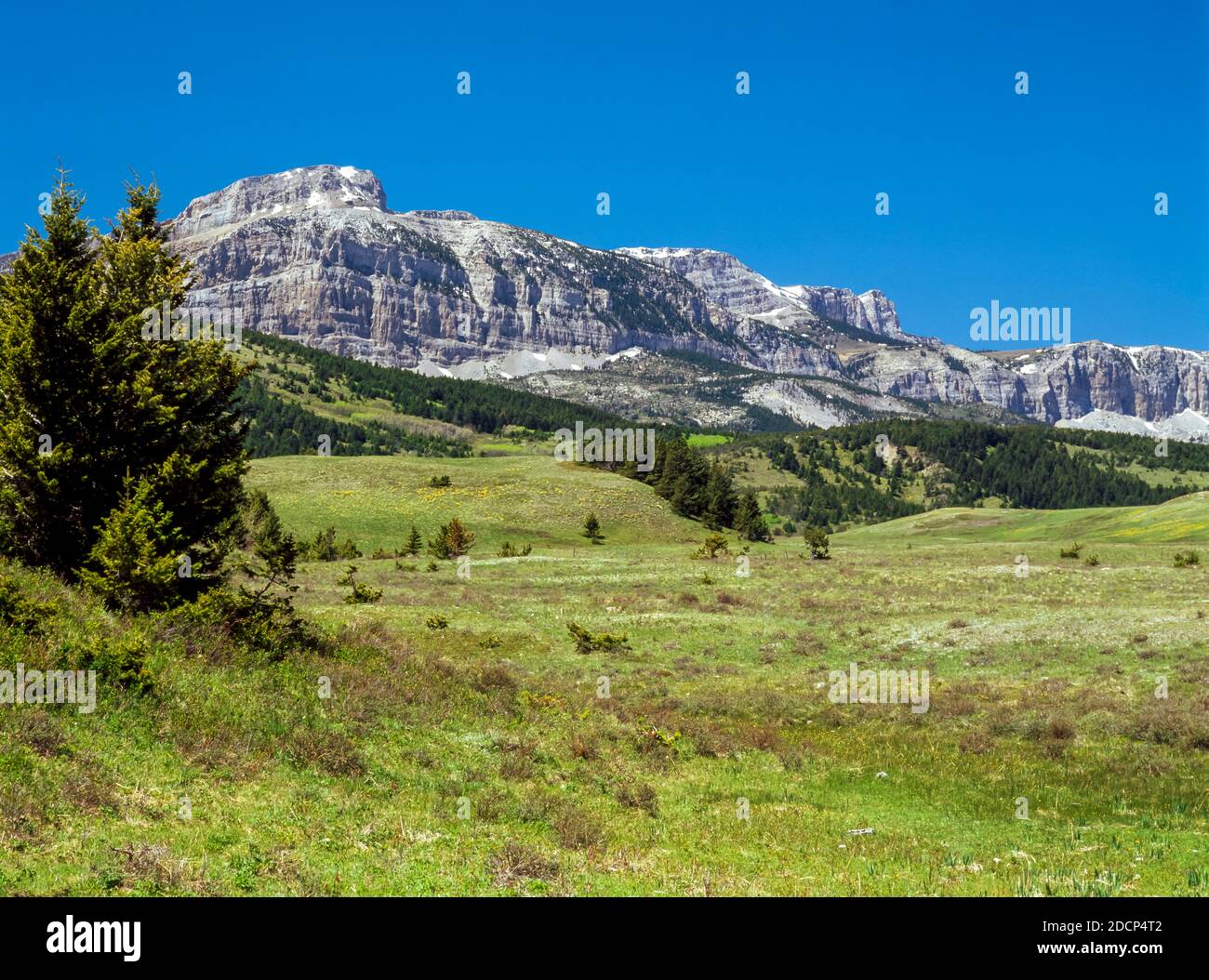 Cuenca dupuyer creek fotografías e imágenes de alta resolución Alamy