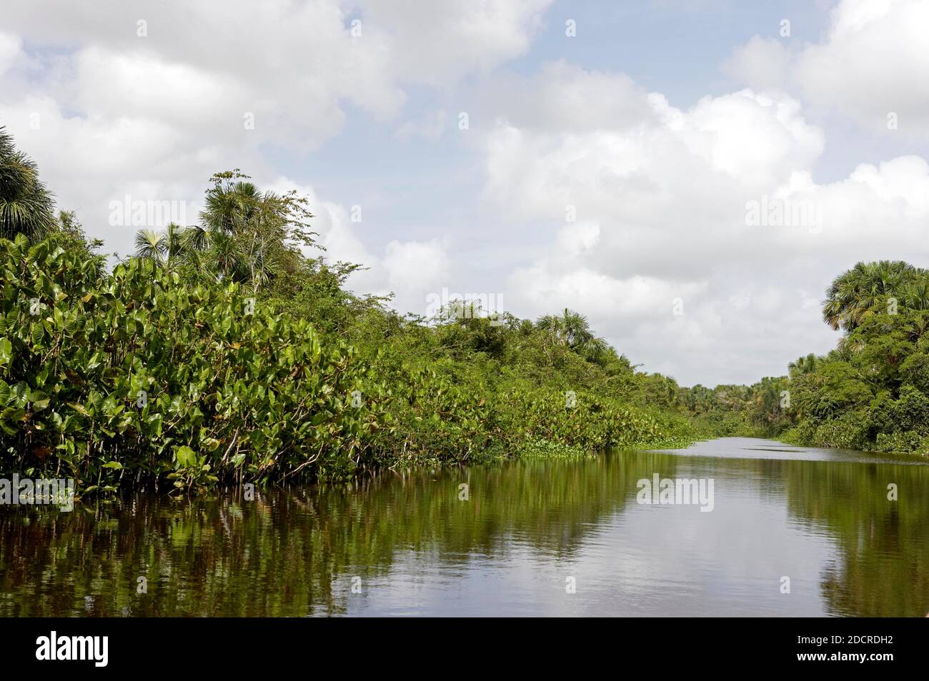 El Delta del Orinoco con subdivisiones geográcas.