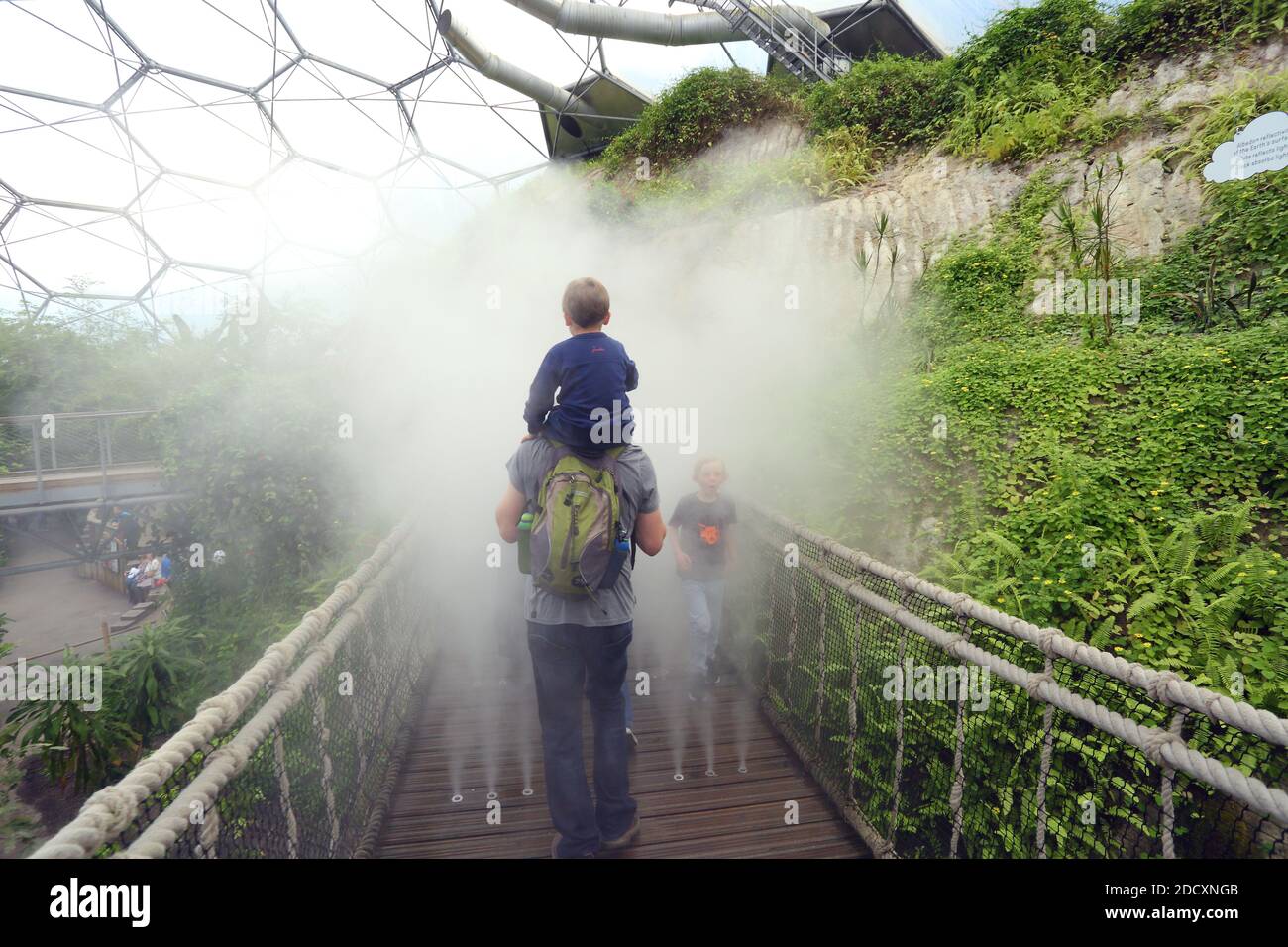 GRAN BRETAÑA / Cornualles / Padre e hijo cruzando el puente de los pies sobre el bioma de la selva tropical en Eden Project. Foto de stock